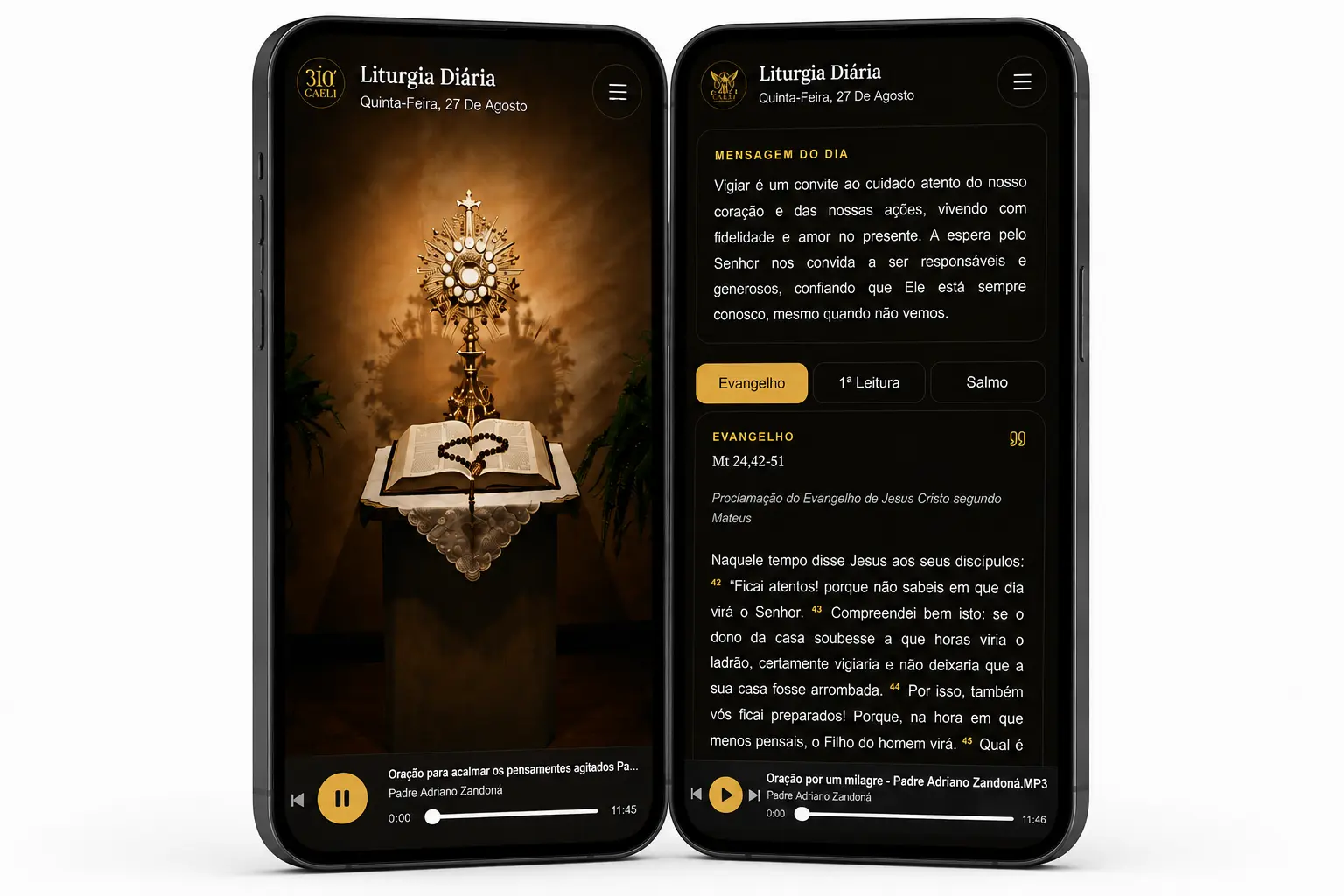 Interface da Liturgia Di&aacute;ria CAELI no celular